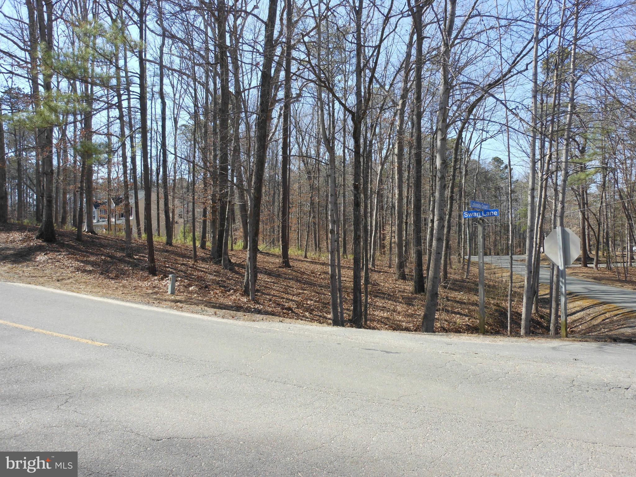 Swan Ruther Glen, VA 22546 - Photo 1 of 6 Exterior (General)