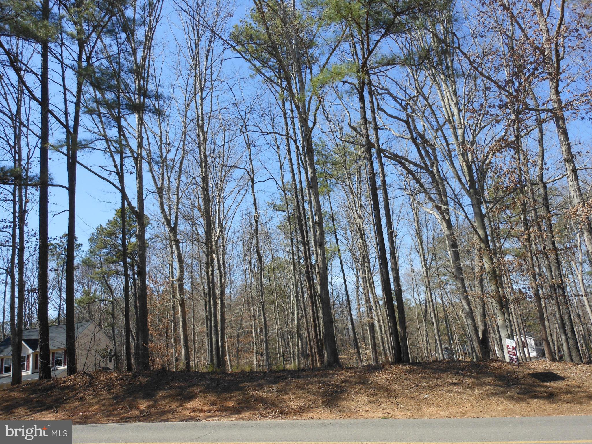 Swan Ruther Glen, VA 22546 - Photo 4 of 6 Exterior (General)