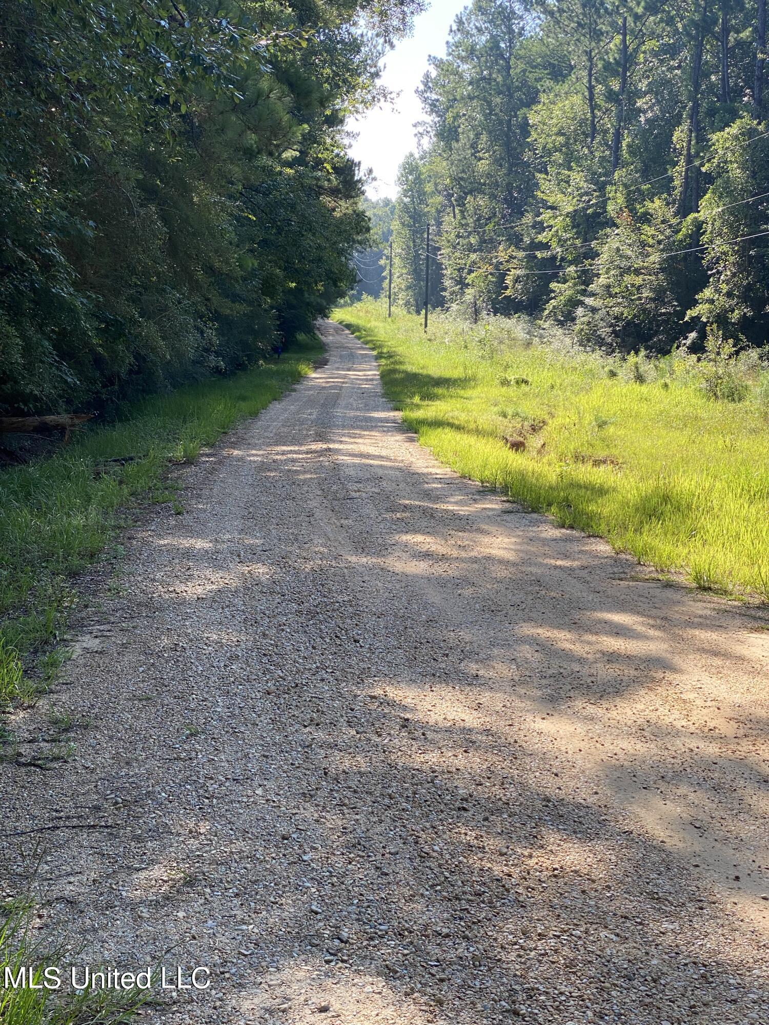 East Mallett Road Perkinston, MS 39573 - Photo 1 of 2 Road along property