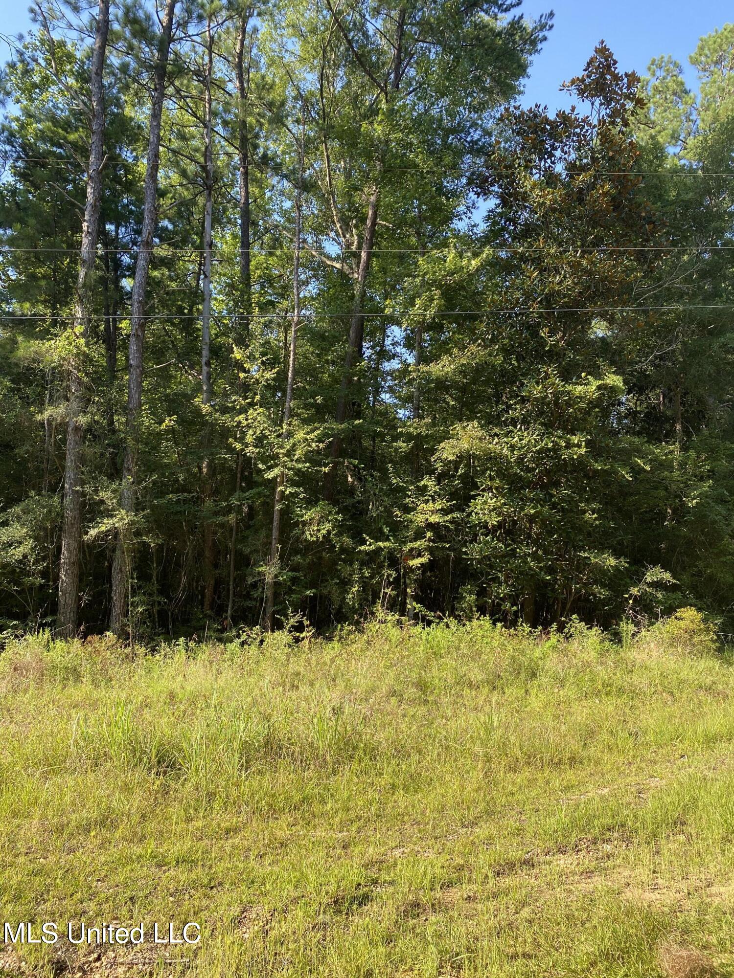 East Mallett Road Perkinston, MS 39573 - Photo 2 of 2 IMG_1162