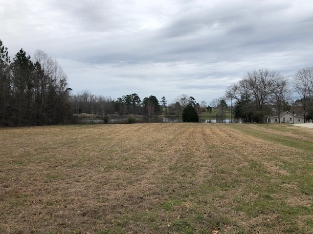 Lot 16 Elizabeth Street Cochran, GA 31014 - Photo 6 of 14