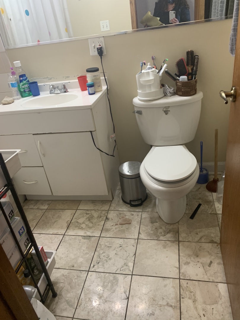 745 South Independence Boulevard, Unit 3N Chicago, IL 60624 - Photo 4 of 12