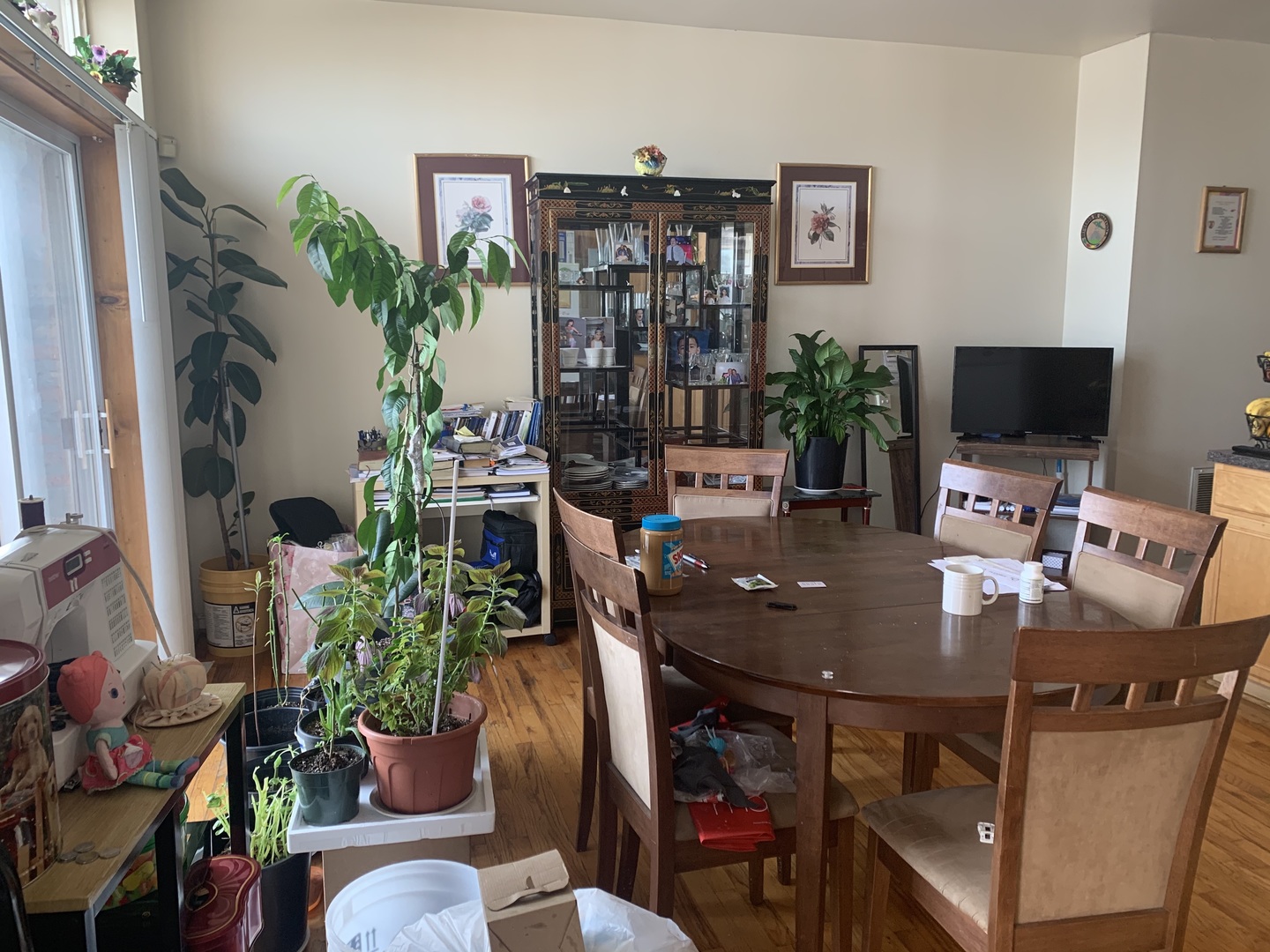 745 South Independence Boulevard, Unit 3N Chicago, IL 60624 - Photo 6 of 12