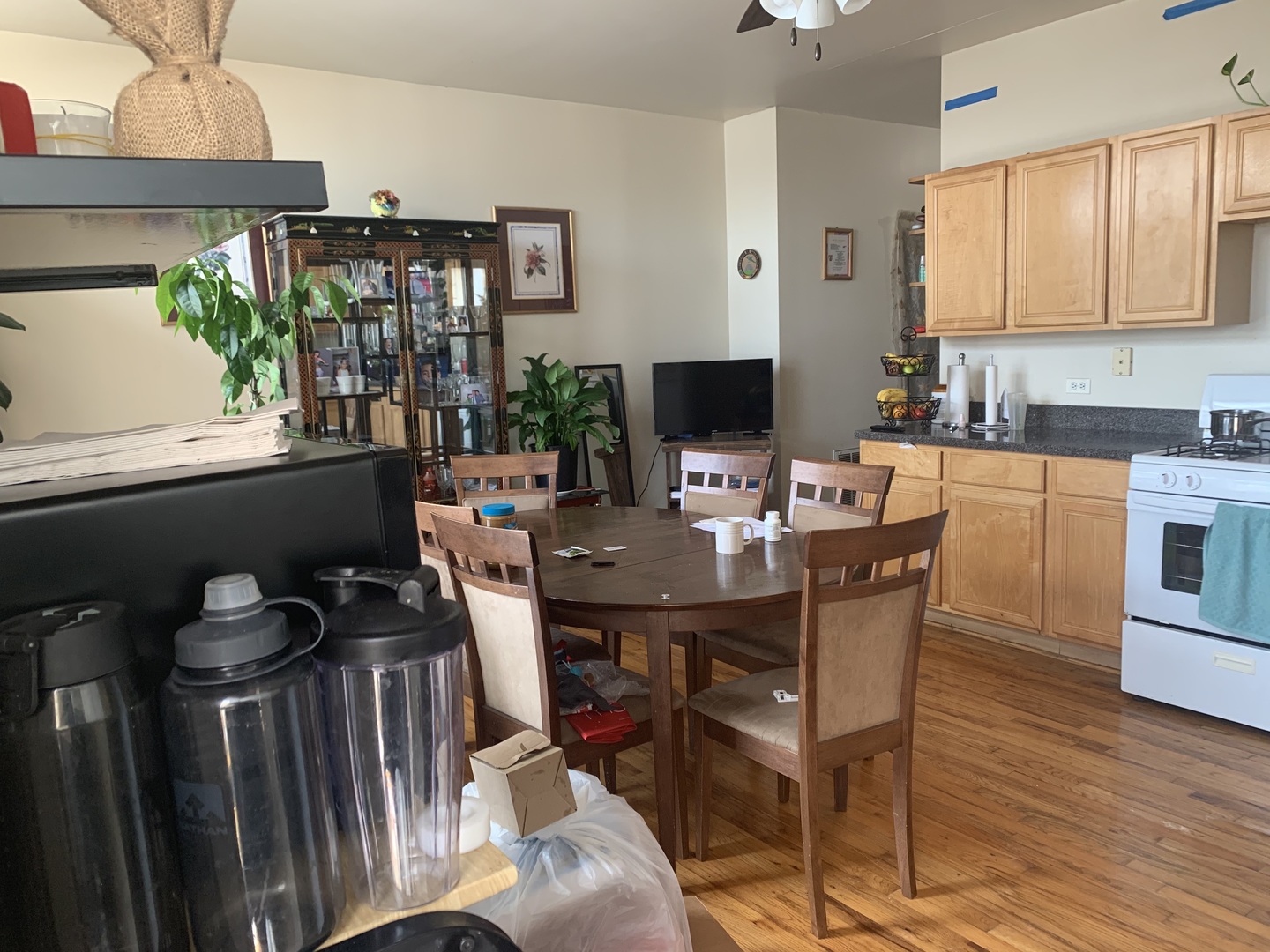 745 South Independence Boulevard, Unit 3N Chicago, IL 60624 - Photo 7 of 12