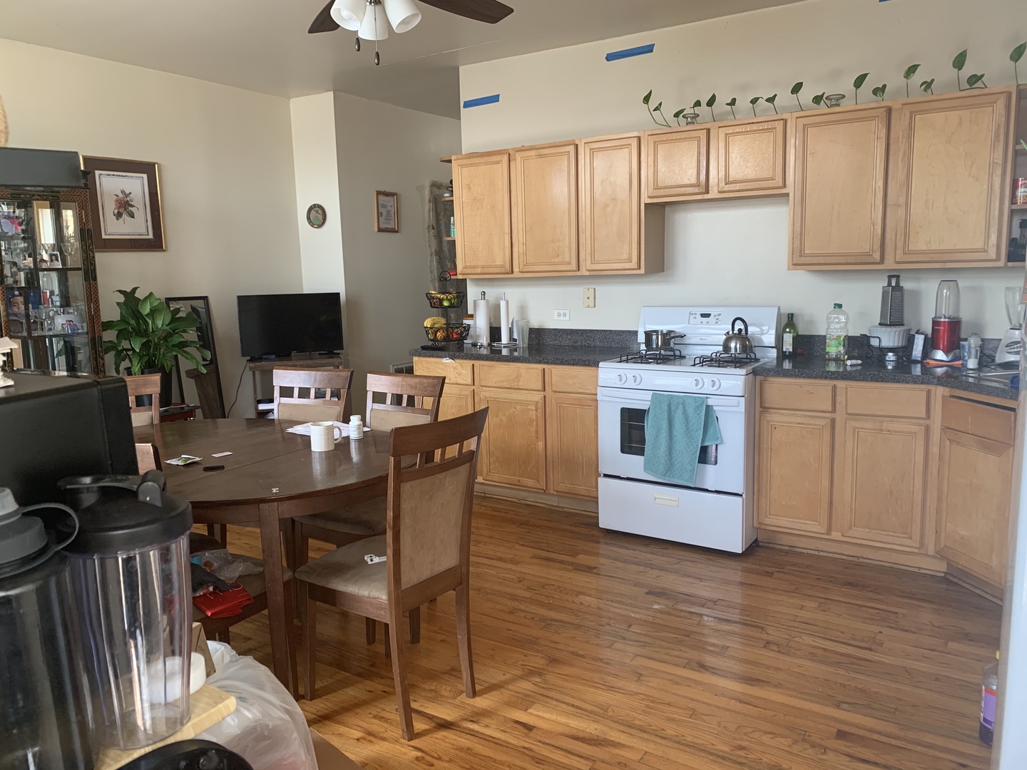 745 South Independence Boulevard, Unit 3N Chicago, IL 60624 - Photo 8 of 12