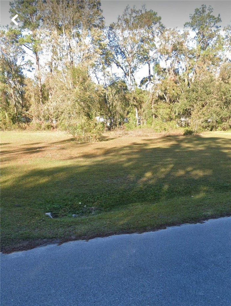 728 Talmadge Road Allenhurst, GA 31301 - Photo 3 of 5