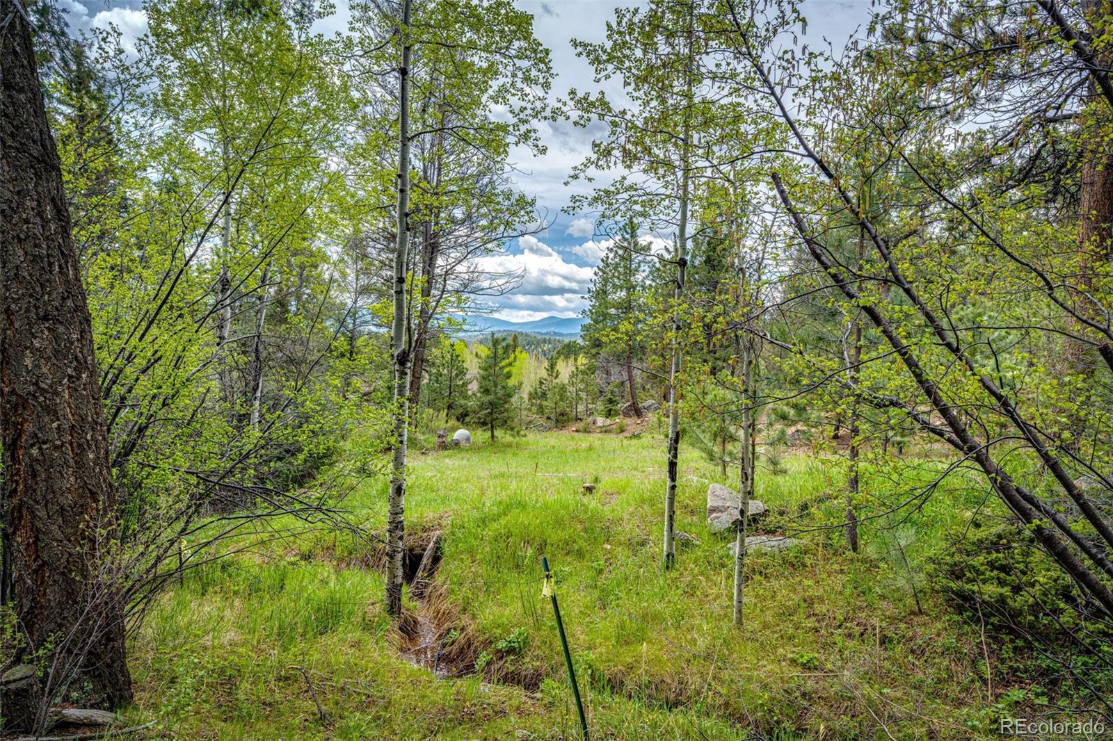 12346 Bear Haven Road Conifer, CO 80433 - Photo 1 of 47 a lush green forest with lots of trees