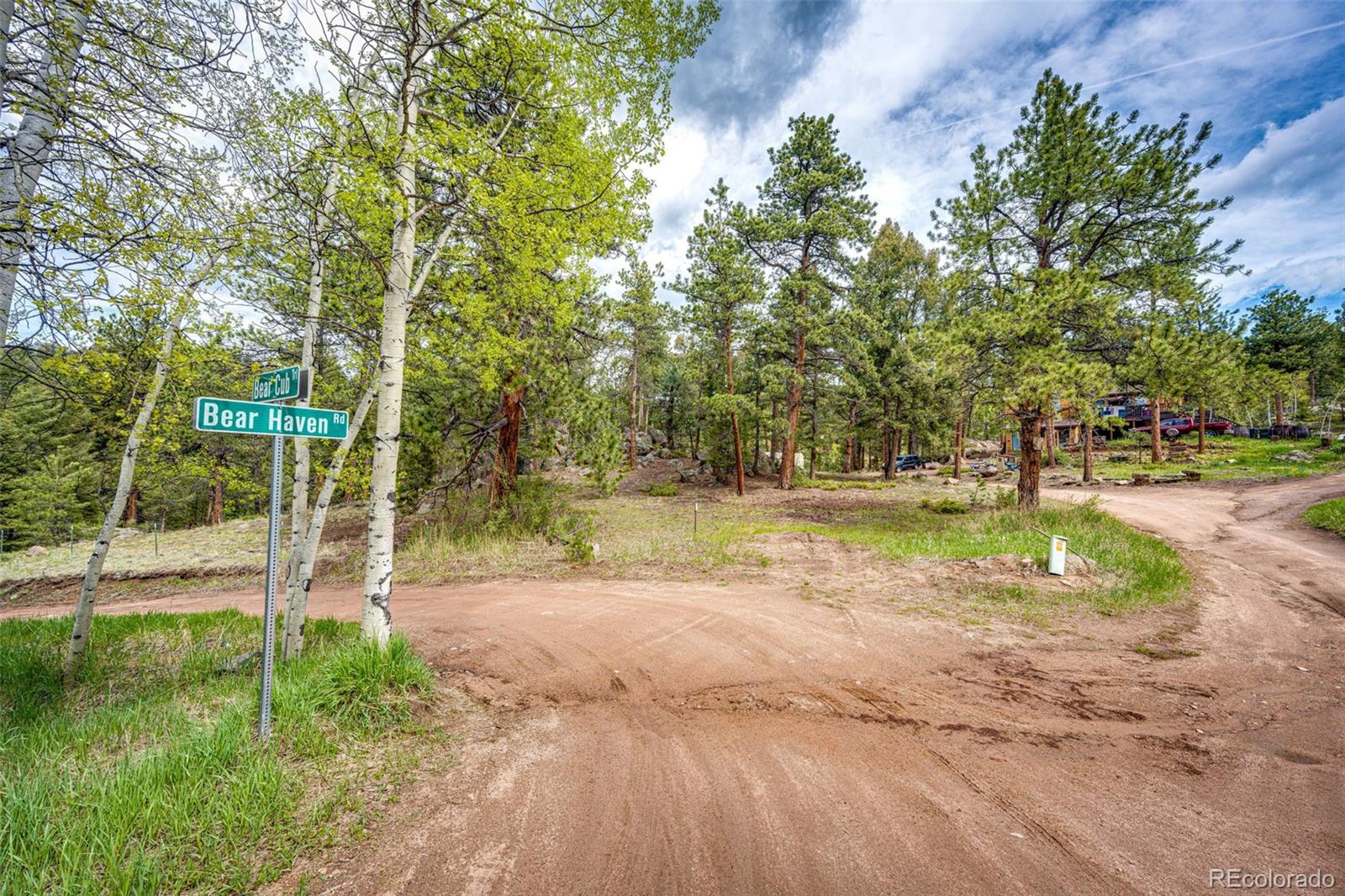 12346 Bear Haven Road Conifer, CO 80433 - Photo 20 of 47 a view of a park with large trees