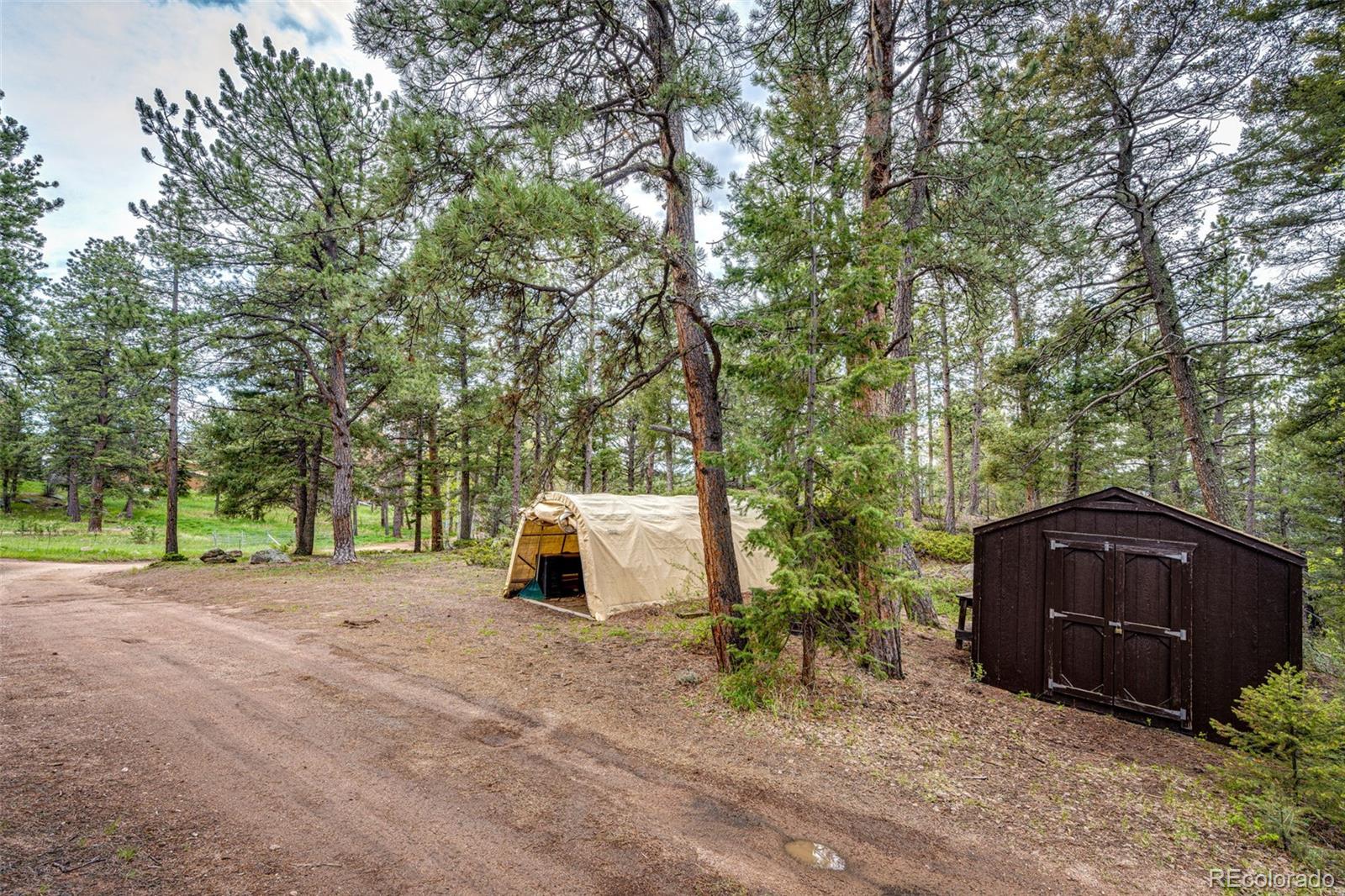 12346 Bear Haven Road Conifer, CO 80433 - Photo 24 of 47 a view of backyard with outdoor space