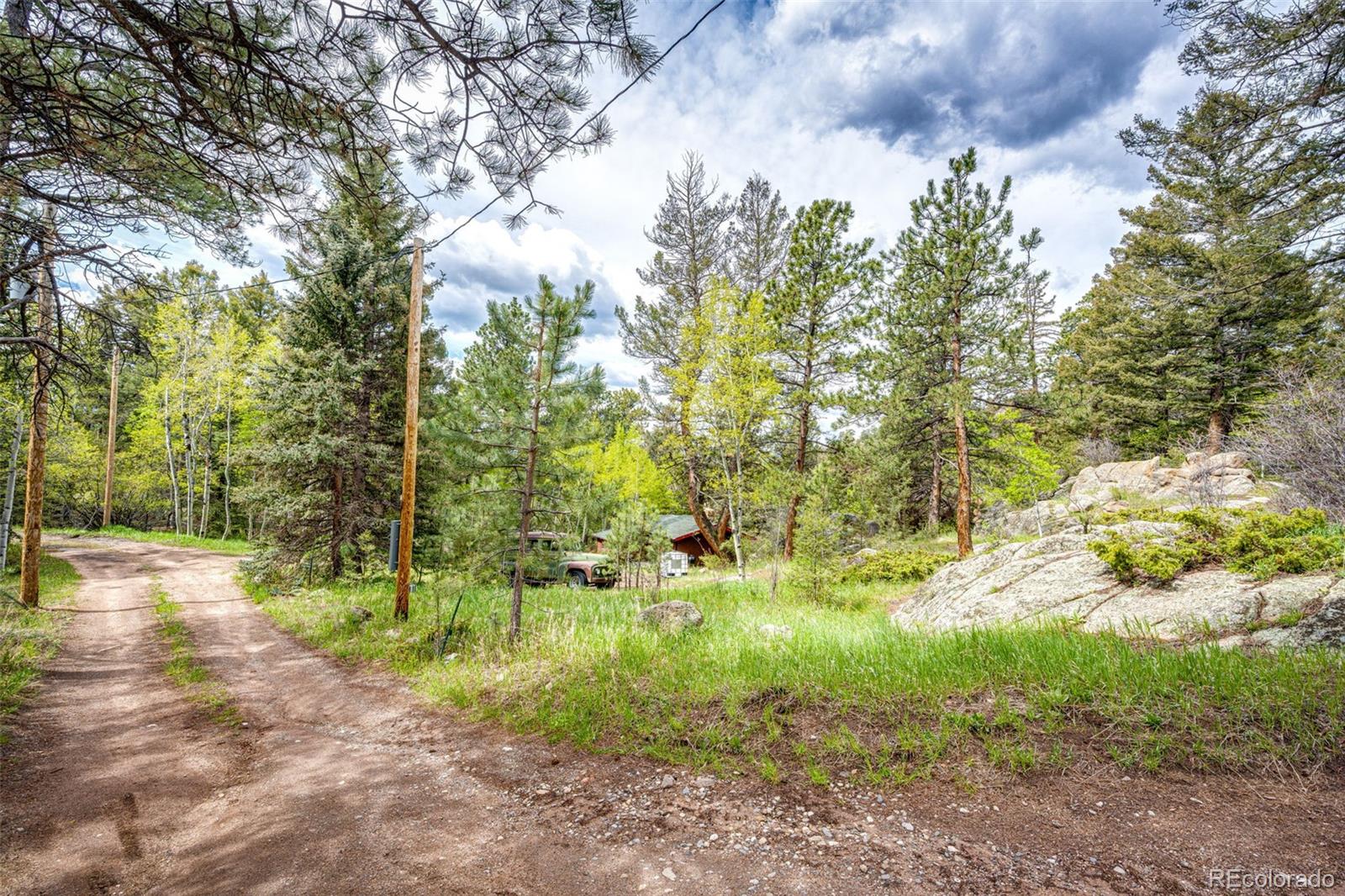 12346 Bear Haven Road Conifer, CO 80433 - Photo 25 of 47 a big yard with lots of green space and plants
