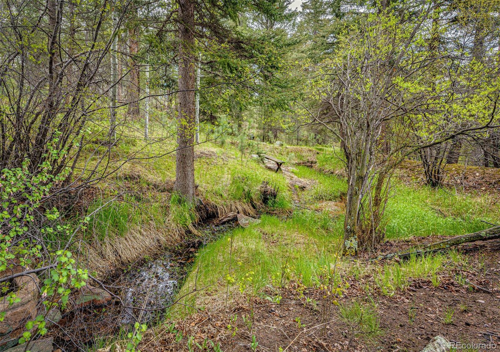 12346 Bear Haven Road Conifer, CO 80433 - Photo 4 of 47 a view of yard with green space
