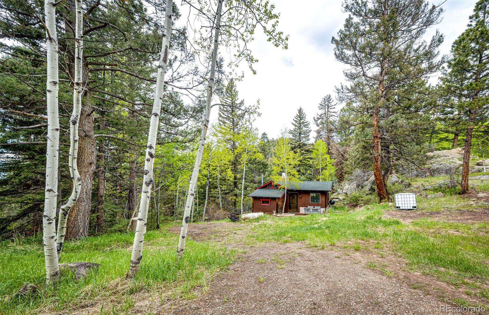 12346 Bear Haven Road Conifer, CO 80433 - Photo 6 of 47 a view of a big yard with plants and large trees
