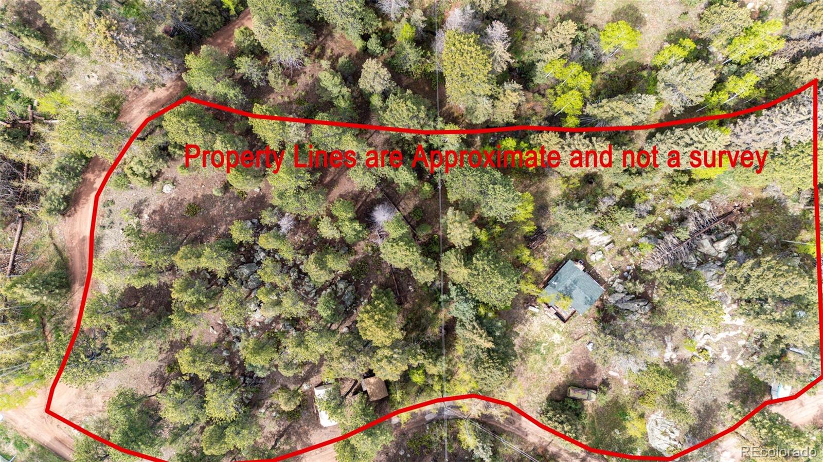 12346 Bear Haven Road Conifer, CO 80433 - Photo 7 of 47