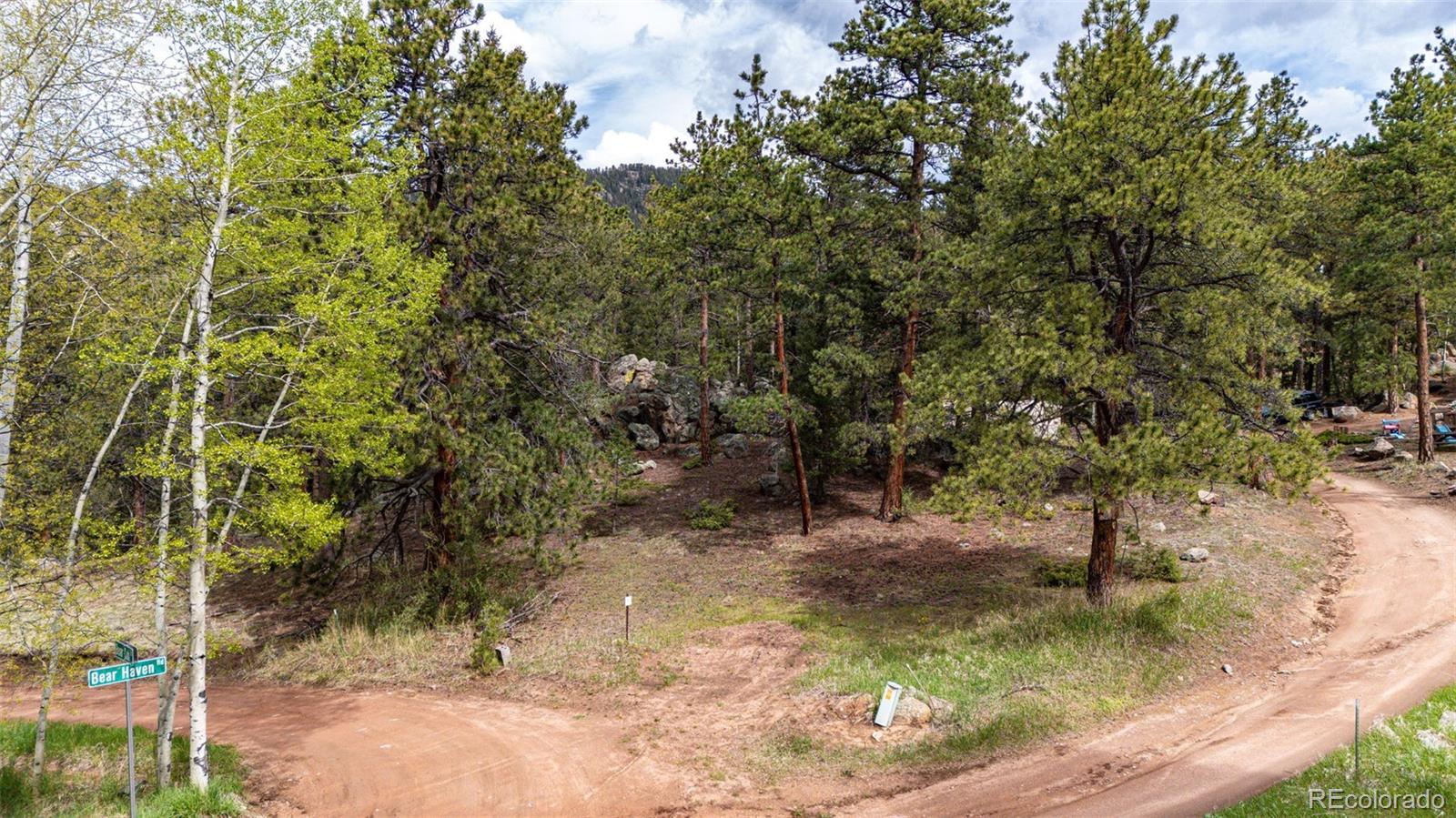 12346 Bear Haven Road Conifer, CO 80433 - Photo 8 of 47 a view of a tree in a yard