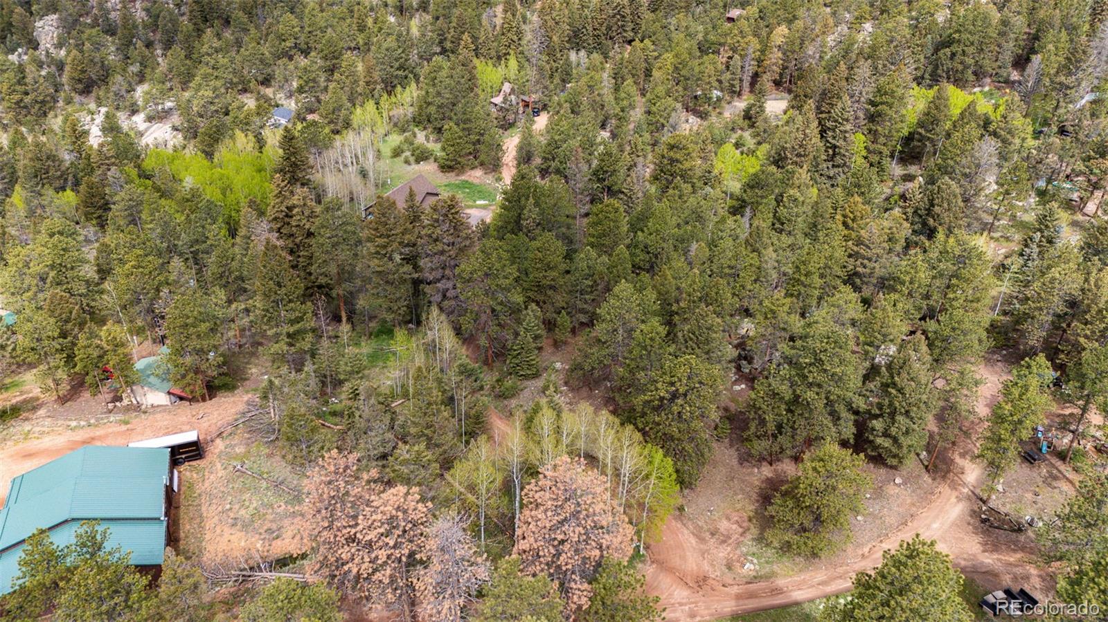 12346 Bear Haven Road Conifer, CO 80433 - Photo 10 of 47 a view of a forest with a tree
