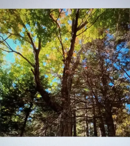 $125,000 | 0 Lead Mine Road, Lubec, ME 04652