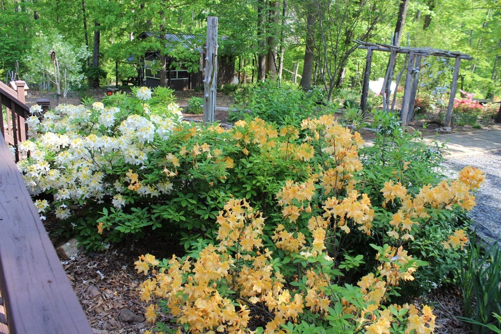 297 Legrande Road Dillwyn, VA 23936 - Photo 65 of 65 Gallery Image 65