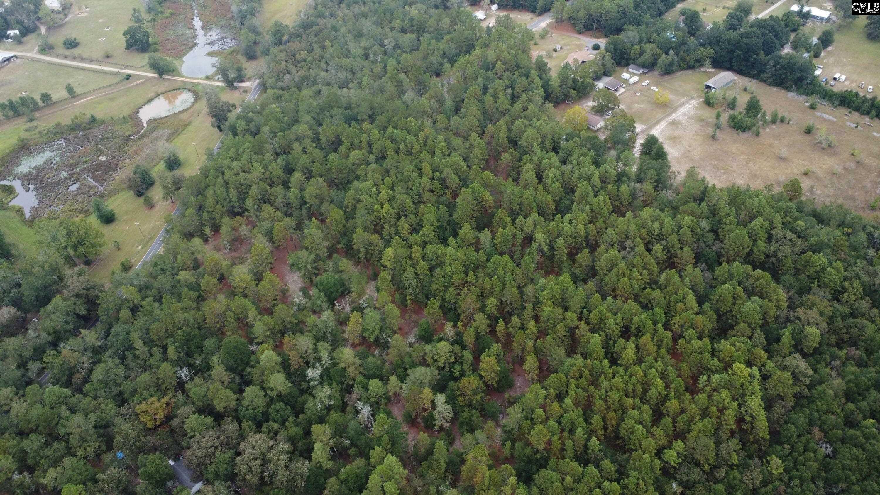 Tbd Holiness Church Road Wagener, SC 29164 - Photo 4 of 7