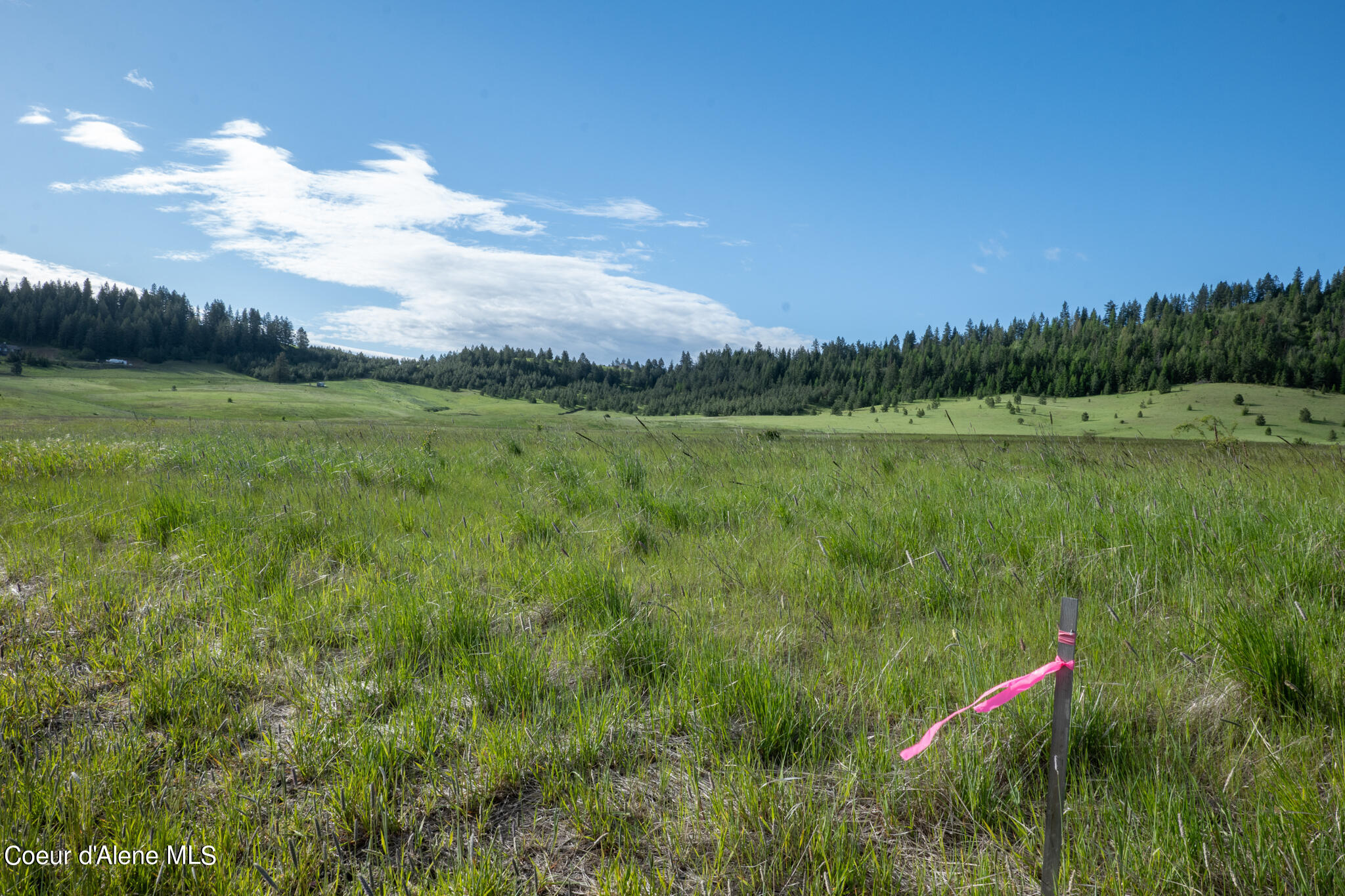Lot D Lot D Merideth Road Plummer, ID 83851 - Photo 1 of 1 NWLL Plummer_Parcel C-01