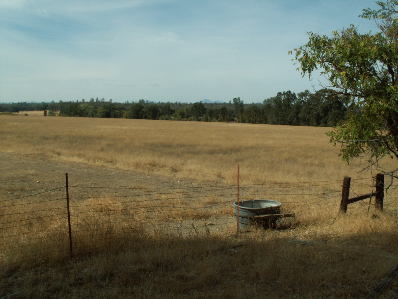 17720 Bowman Road Cottonwood, CA 96022 - Photo 5 of 13 a view of lake
