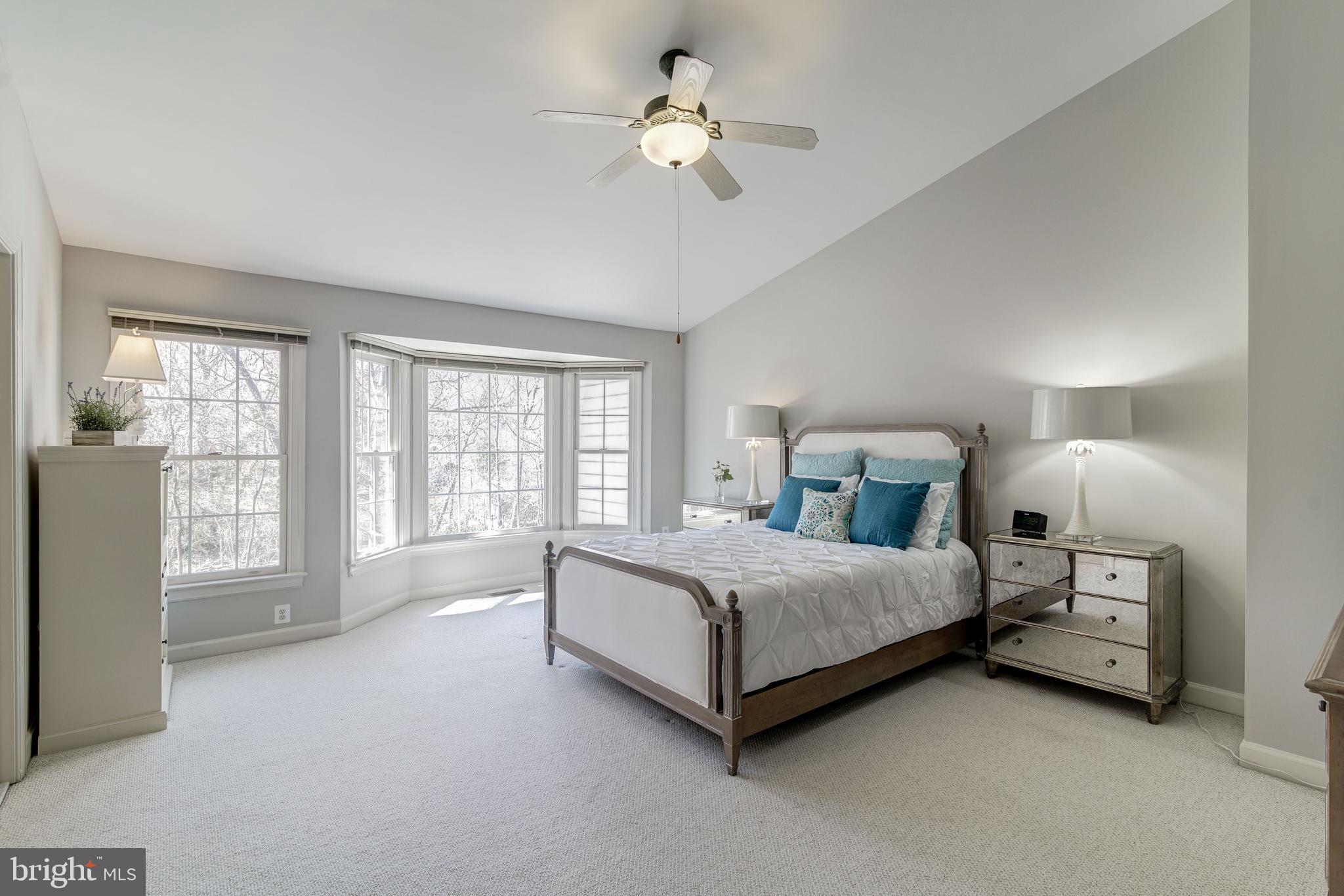 150 Rees Place Falls Church, VA 22046 - Photo 14 of 27 Vaulted ceilings in expansive Master Bedroom