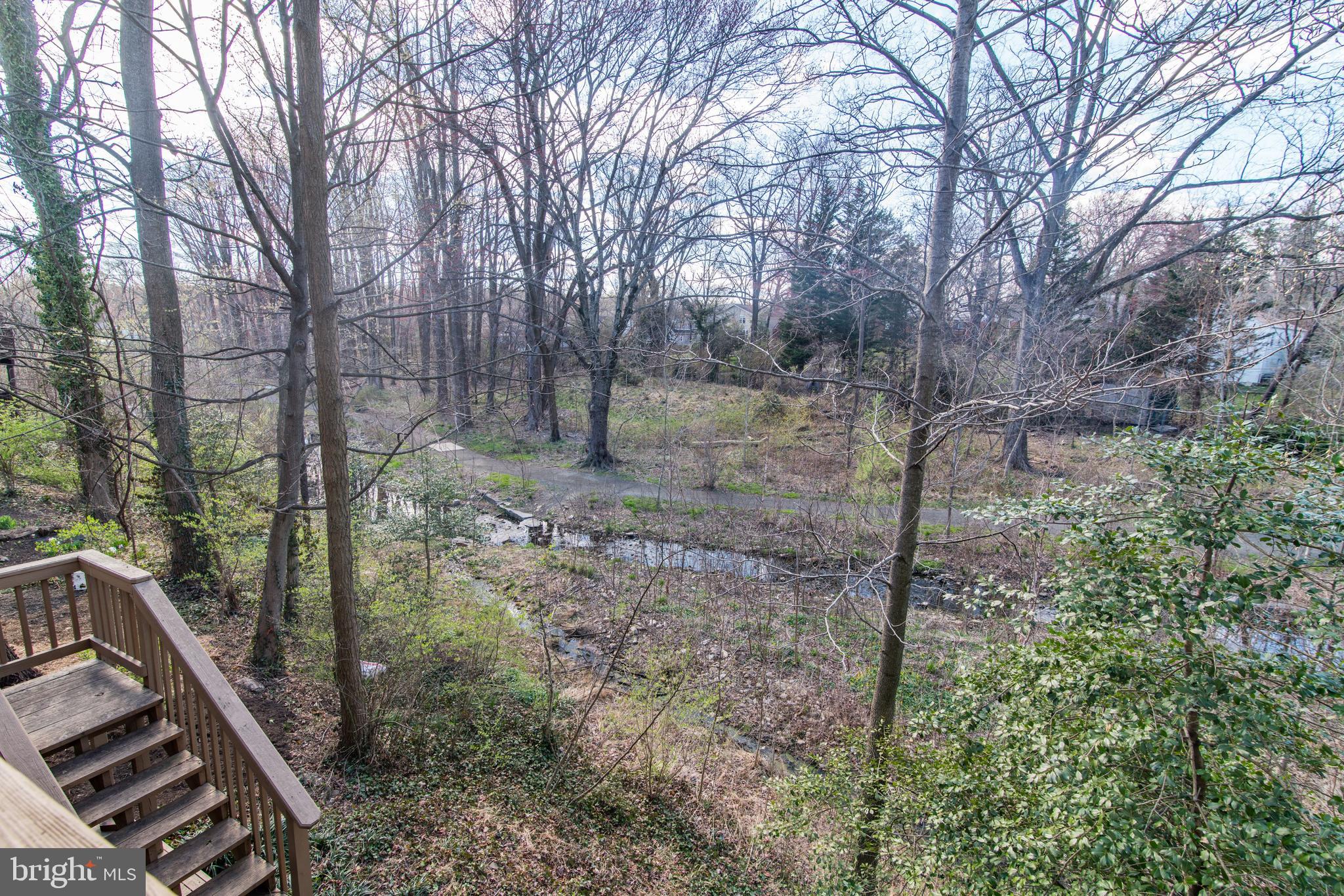 150 Rees Place Falls Church, VA 22046 - Photo 24 of 27 Views of serene park and community walking trail