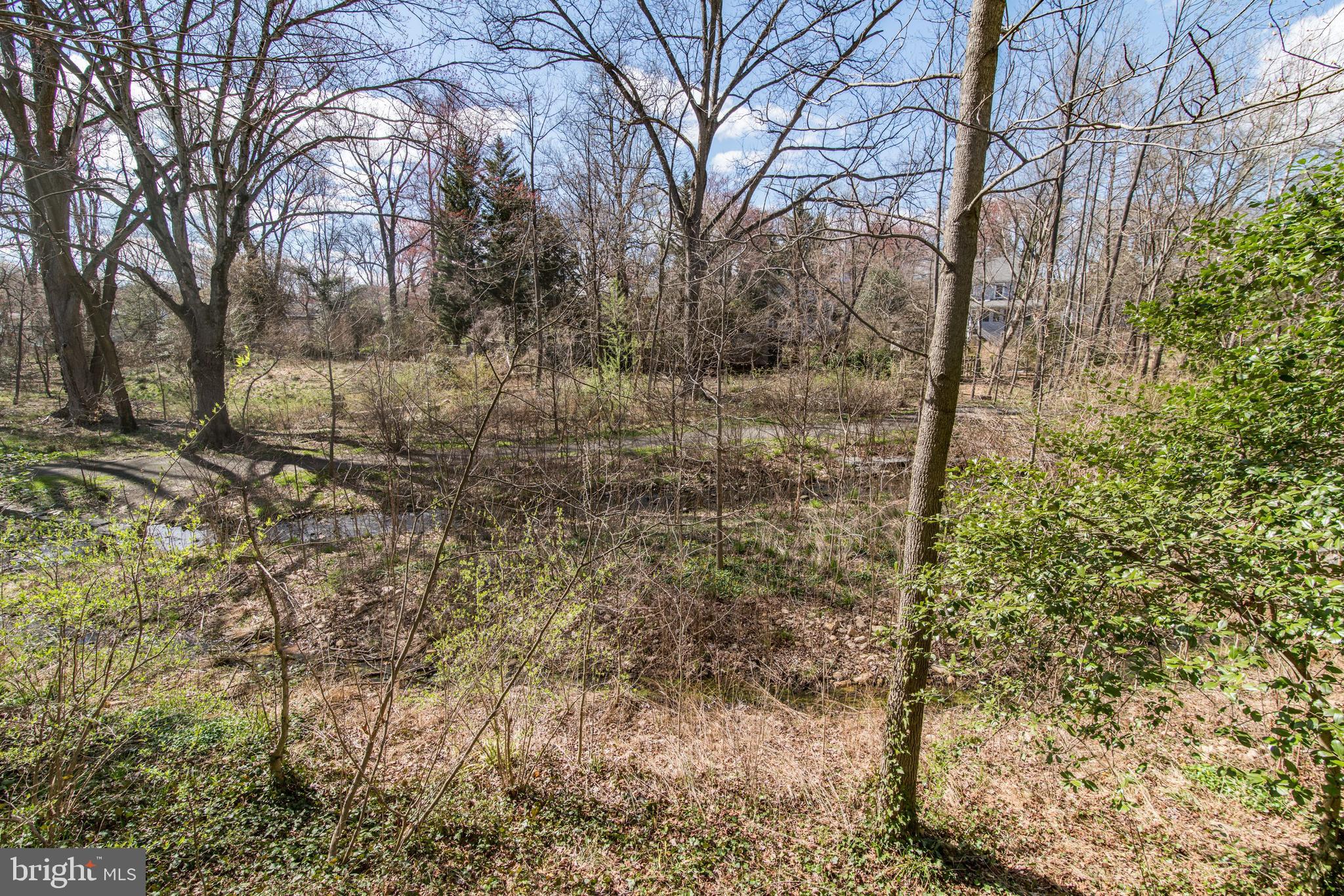 150 Rees Place Falls Church, VA 22046 - Photo 27 of 27 Views from lower level deck