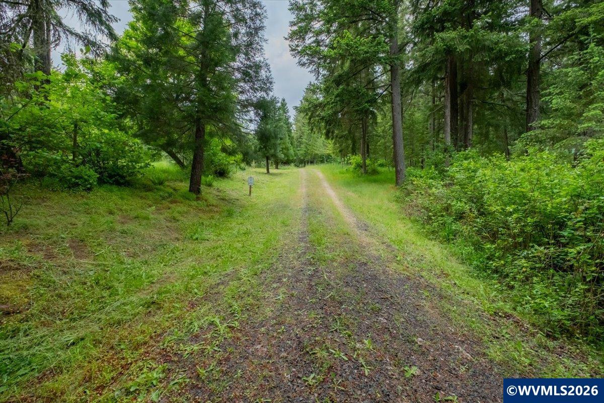 0057485 Next To 40587 Baptist Church Road Lebanon, OR 97355 - Photo 3 of 38