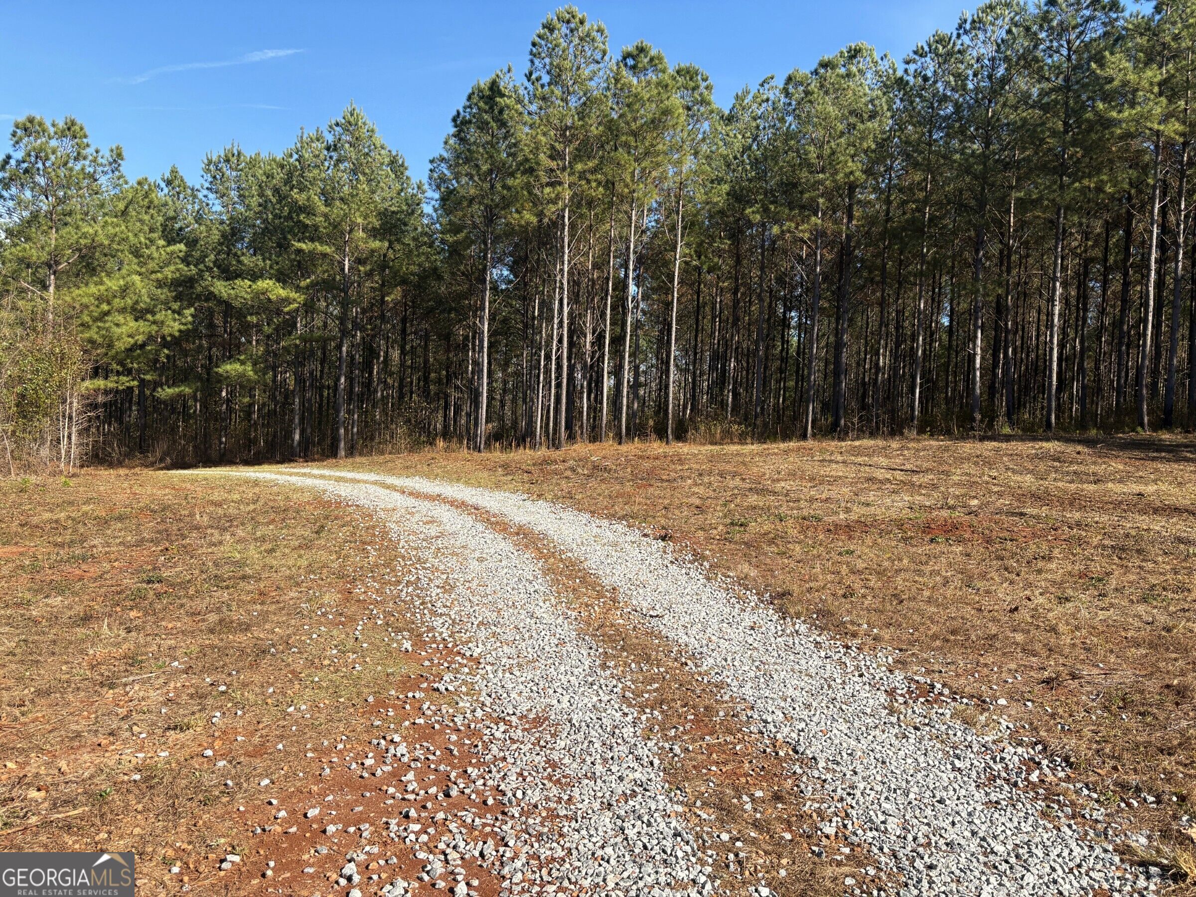 T2 Old Zebulon Road Forsyth, GA 31029 - Photo 1 of 36 Gallery Image 1