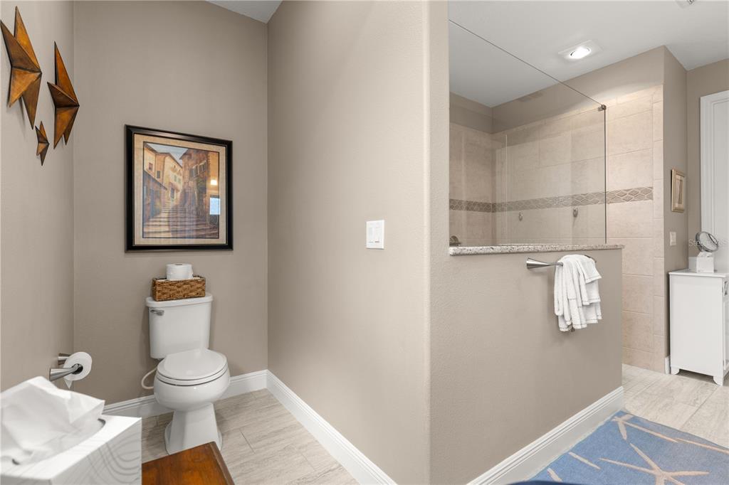 9099 Southwest 89th Loop Ocala, FL 34481 - Photo 42 of 66 a bathroom with a toilet and a picture of bathroom