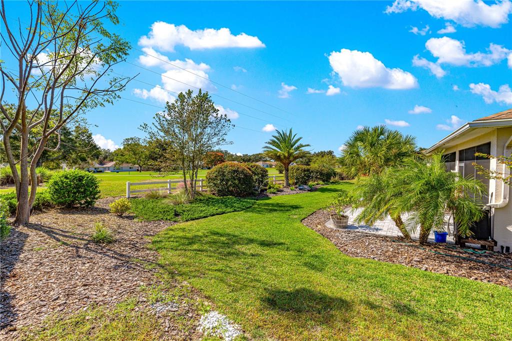 9099 Southwest 89th Loop Ocala, FL 34481 - Photo 65 of 66 a view of a golf course with a tree