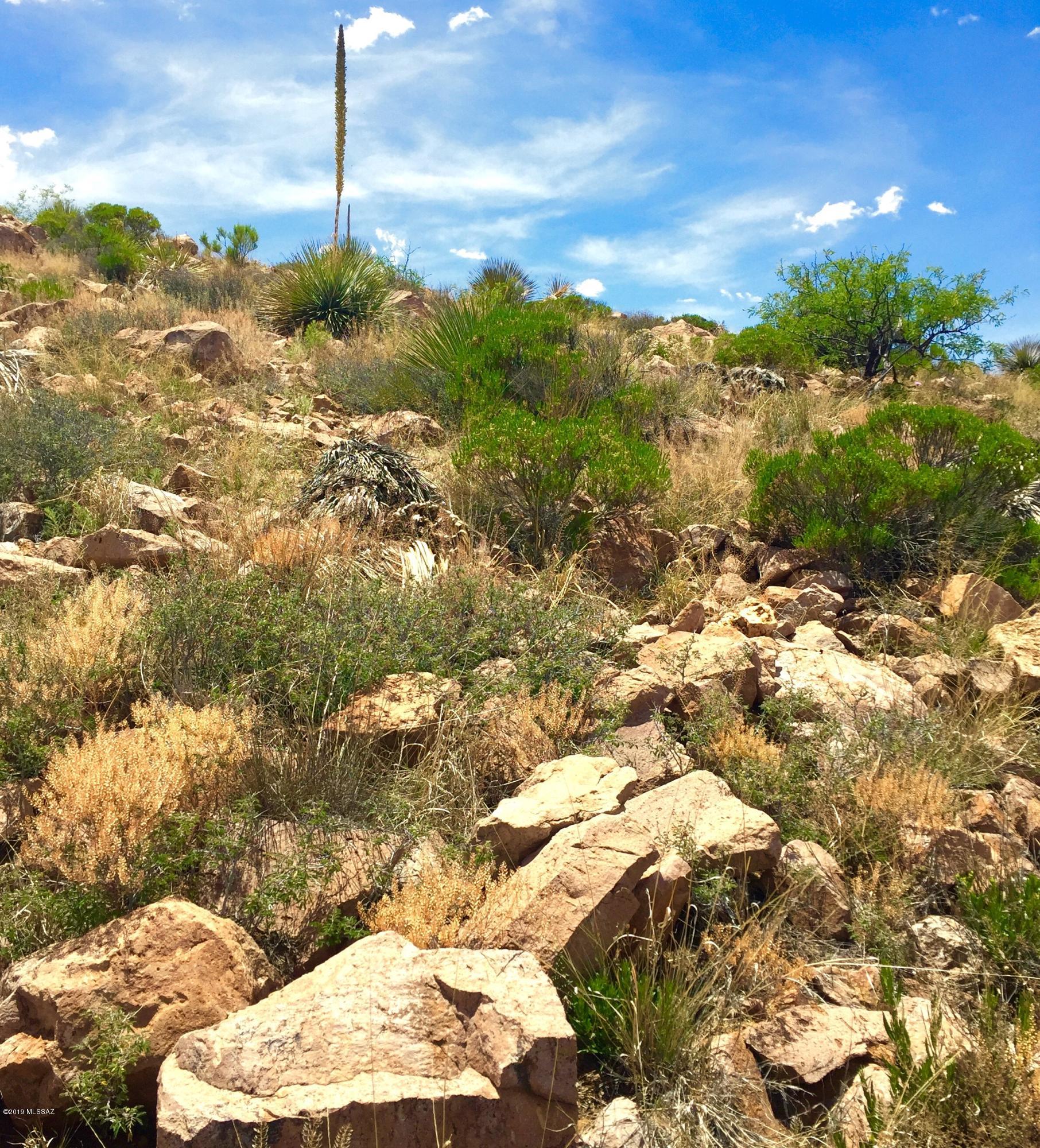 39.54 Ac Ranch, Unit 154 Pearce, AZ 85625 - Photo 9 of 50 Gallery Image 9