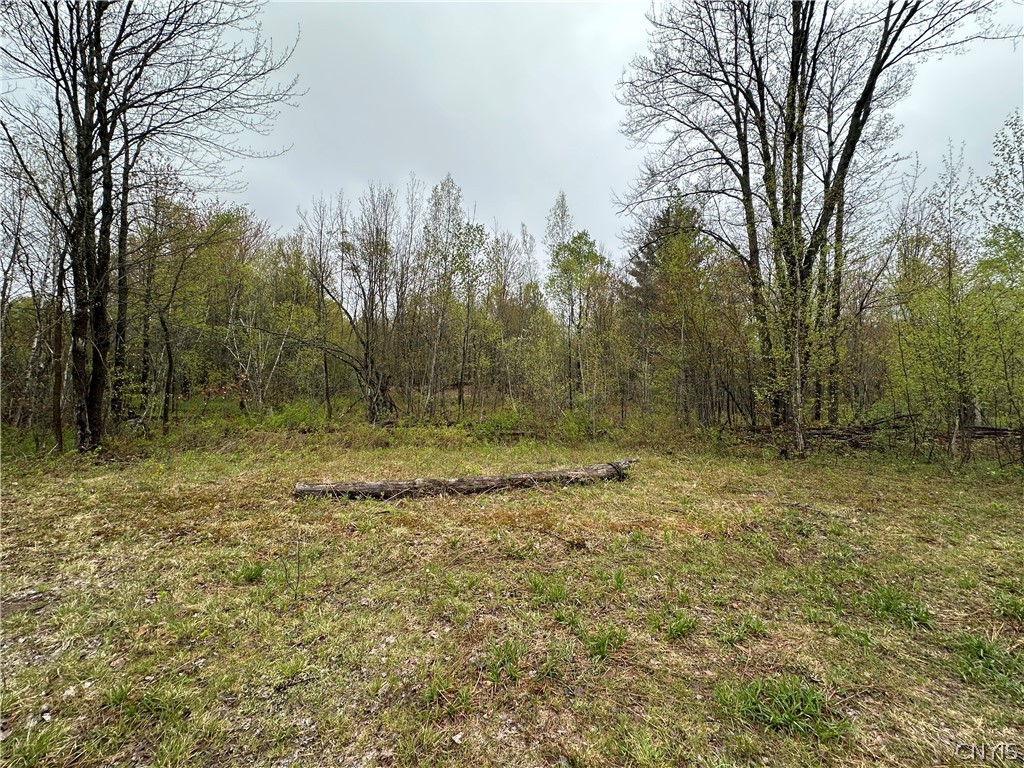 4815 Texas Road Croghan, NY 13619 - Photo 13 of 19