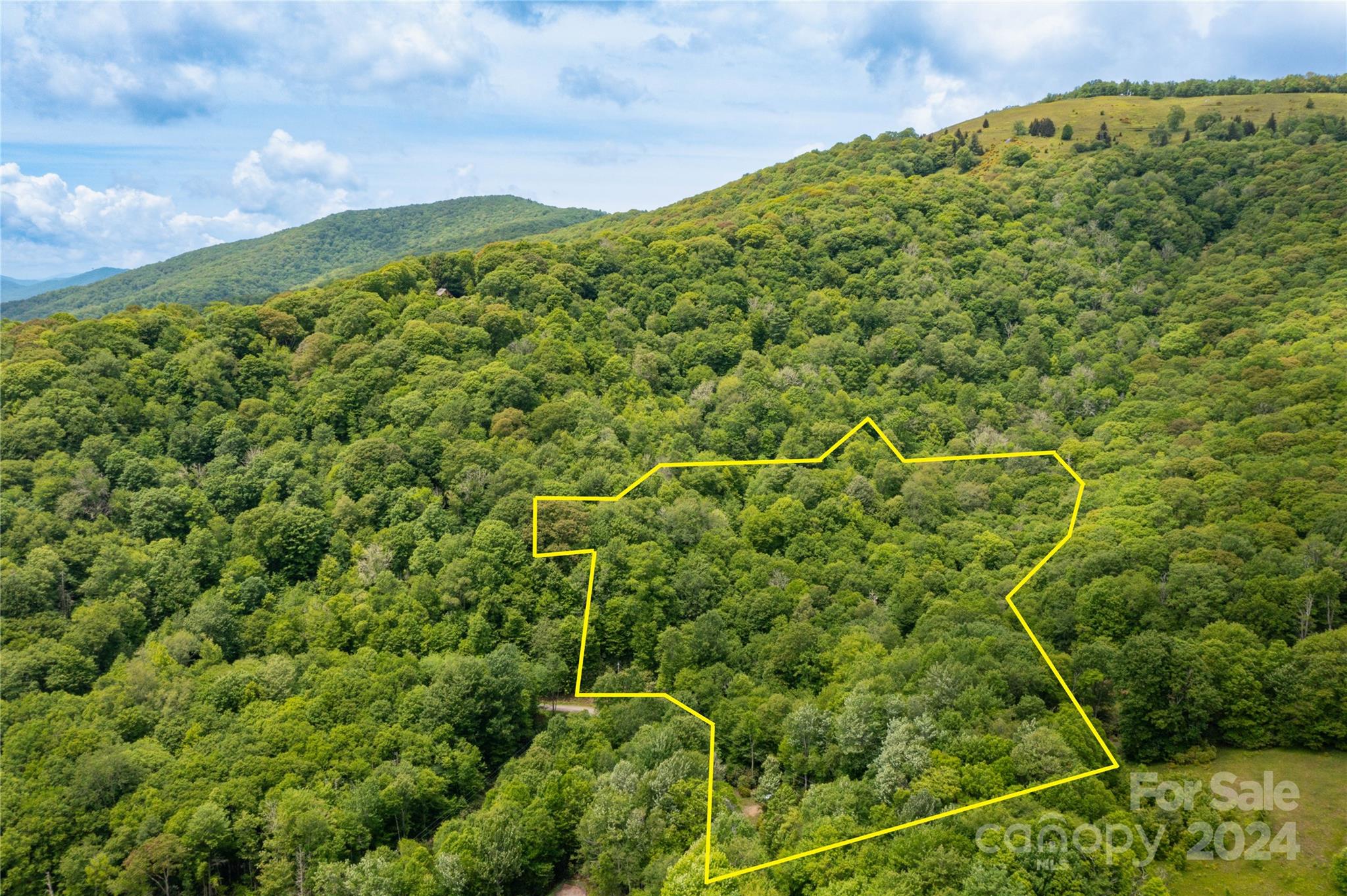0 Lost Ridge Road, Unit 2 Maggie Valley, NC 28751 - Photo 2 of 9