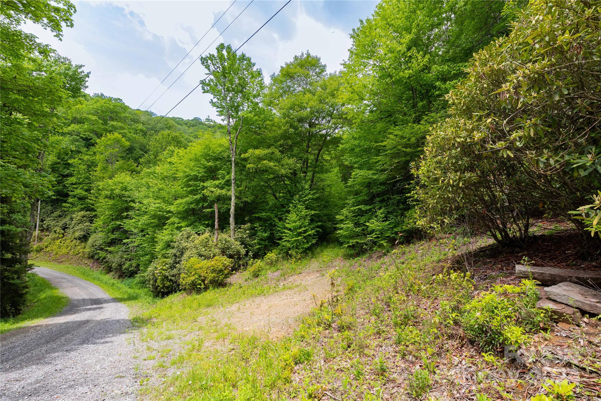 0 Lost Ridge Road, Unit 2 Maggie Valley, NC 28751 - Photo 4 of 9