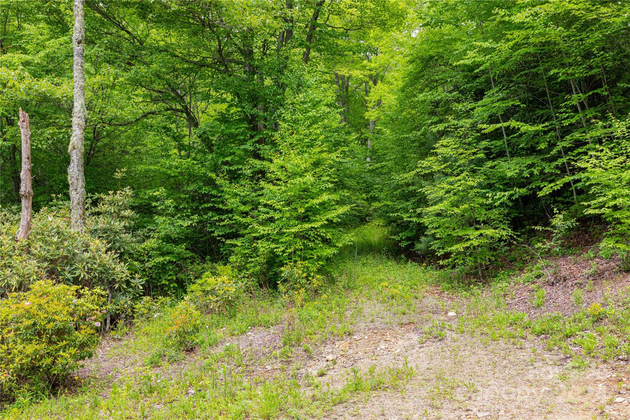 0 Lost Ridge Road, Unit 2 Maggie Valley, NC 28751 - Photo 5 of 9