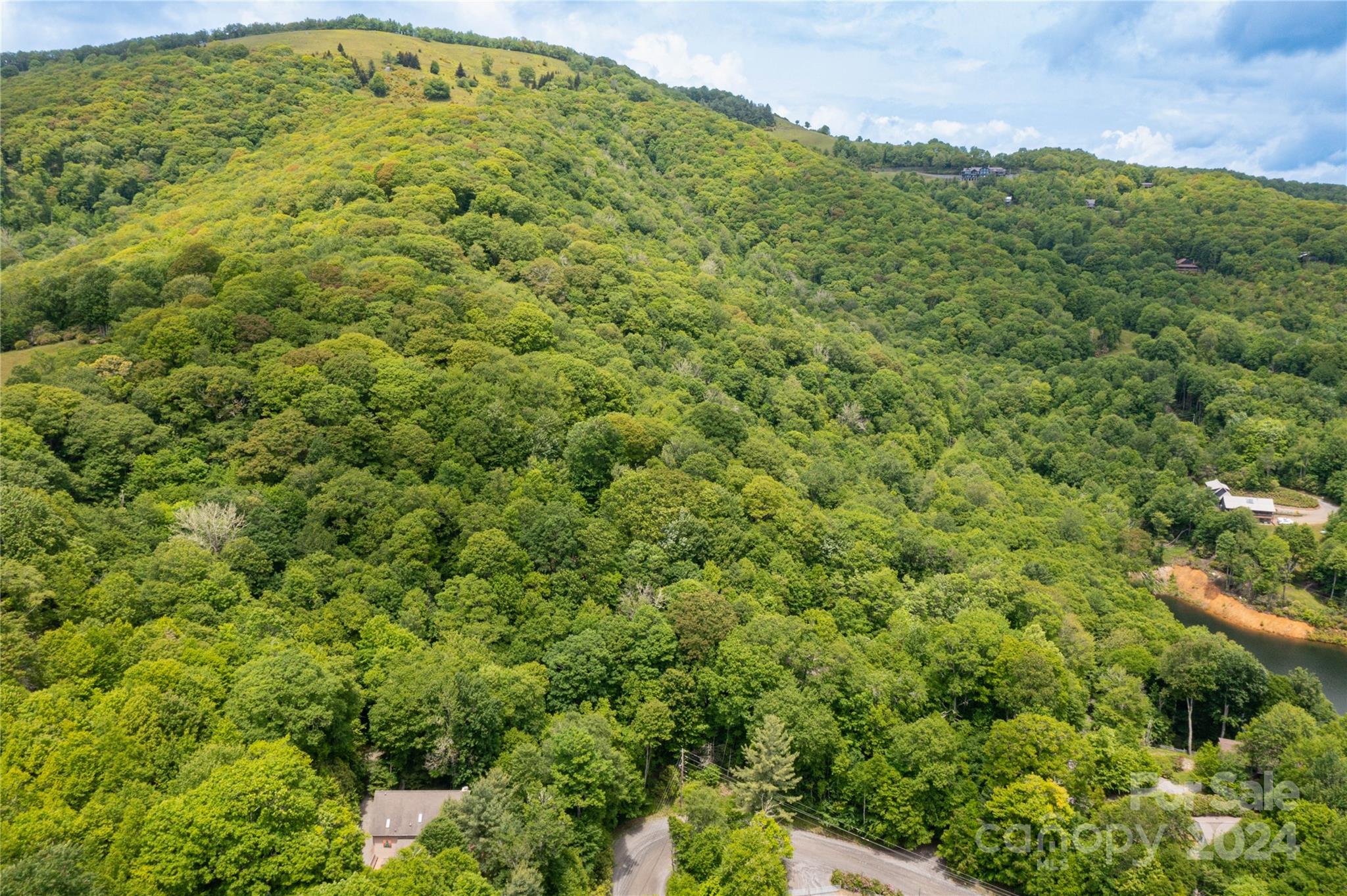 0 Lost Ridge Road, Unit 2 Maggie Valley, NC 28751 - Photo 8 of 9