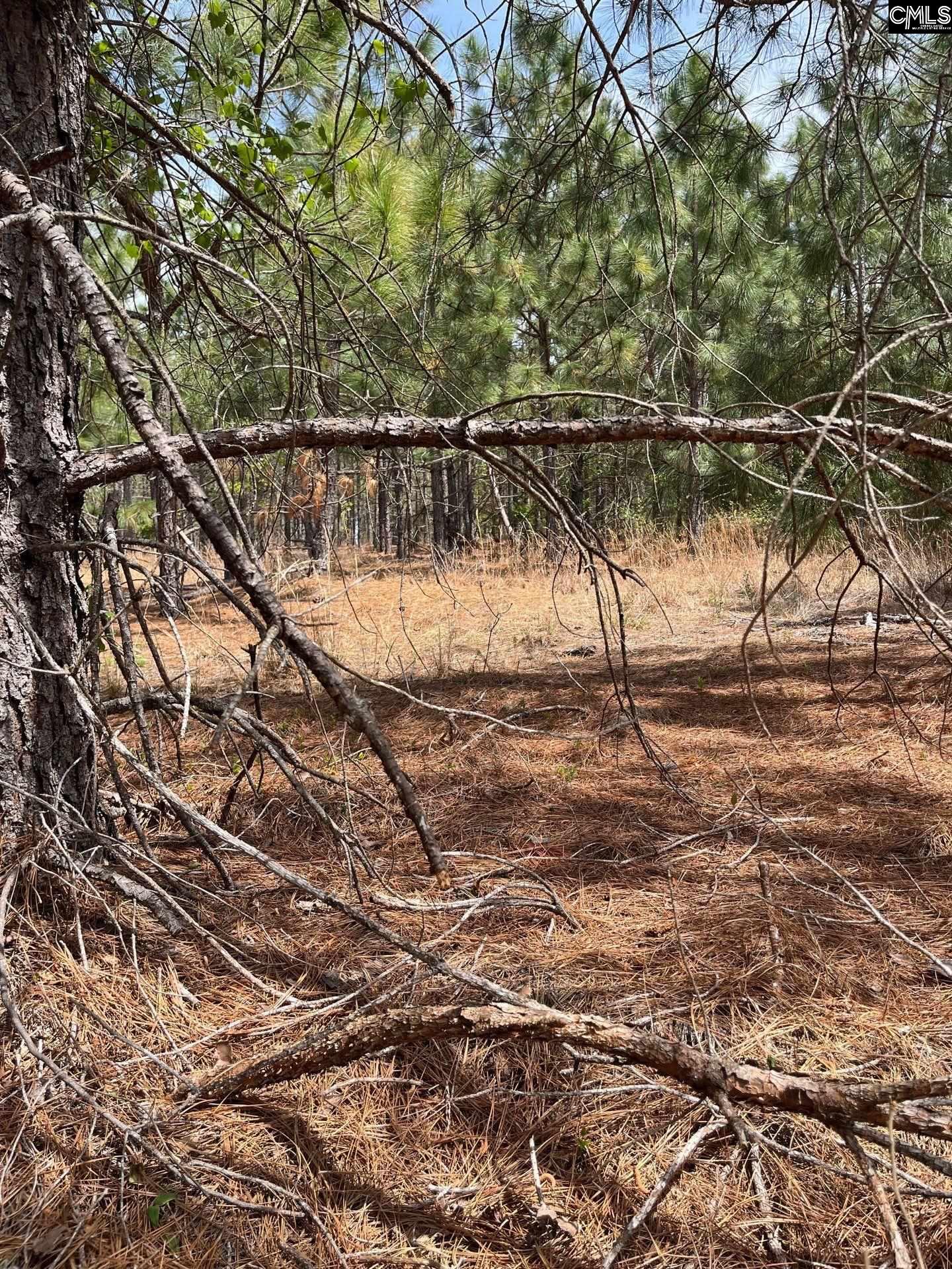 5 Beaver Dam Road Cassatt, SC 29032 - Photo 7 of 17