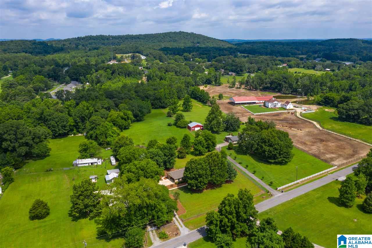 1555 Simpson Road Odenville, AL 35120 - Photo 33 of 41