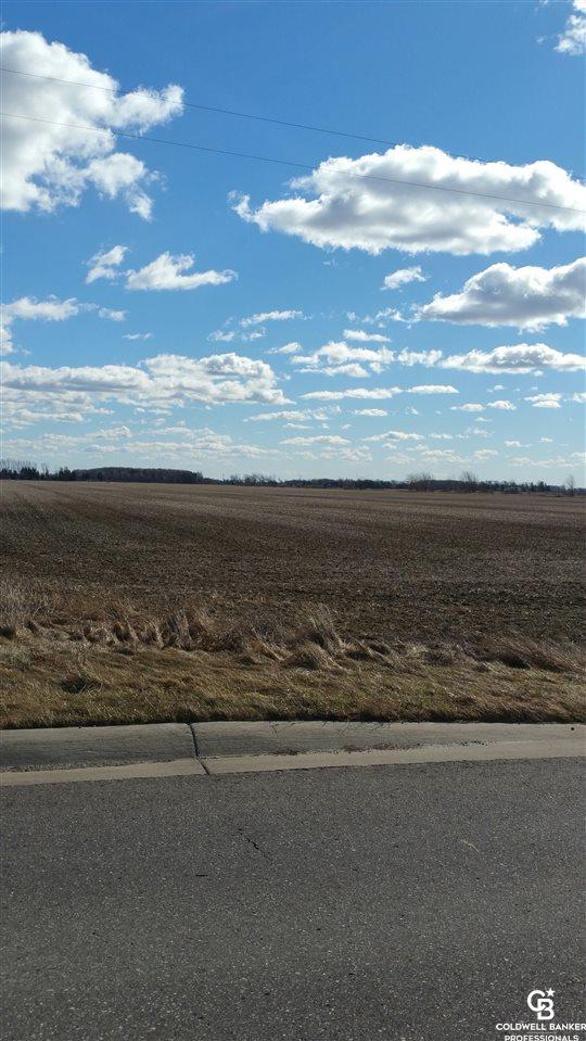Vacant Land North State/allan Road Owosso, MI 48867 - Photo 2 of 7