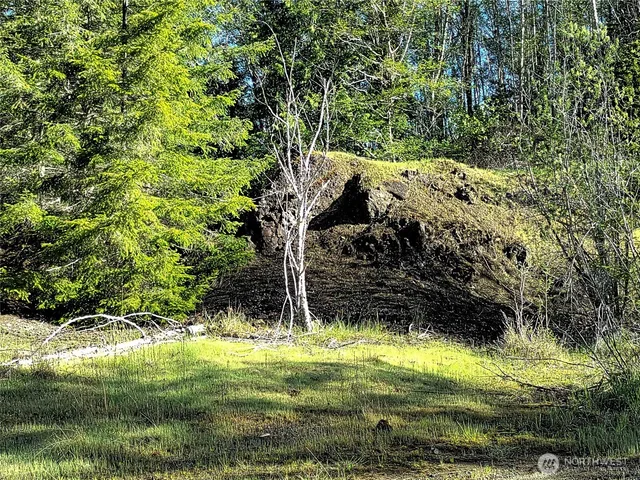 a view of a yard with a tree