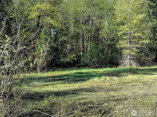 a plant that is in a garden