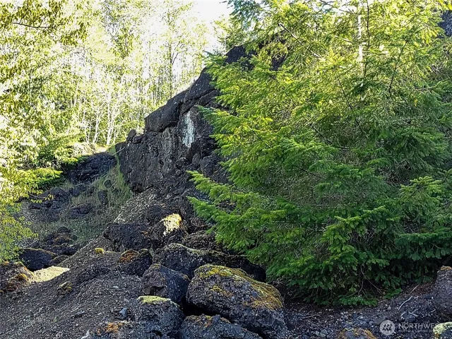a view of swimming pool from a lake view