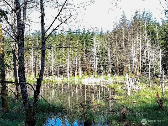 a backyard of a building with large trees