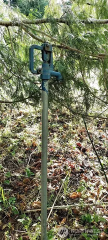 a view of a forest with lots of trees