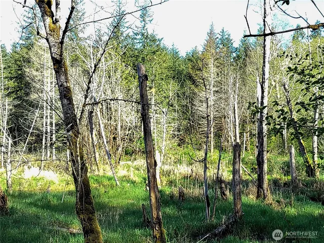 a view of a bathroom with a wooden door