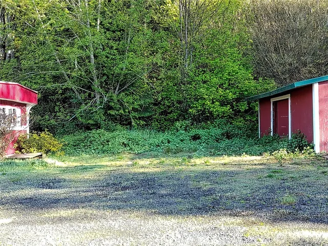 a view of a yard with plants and trees