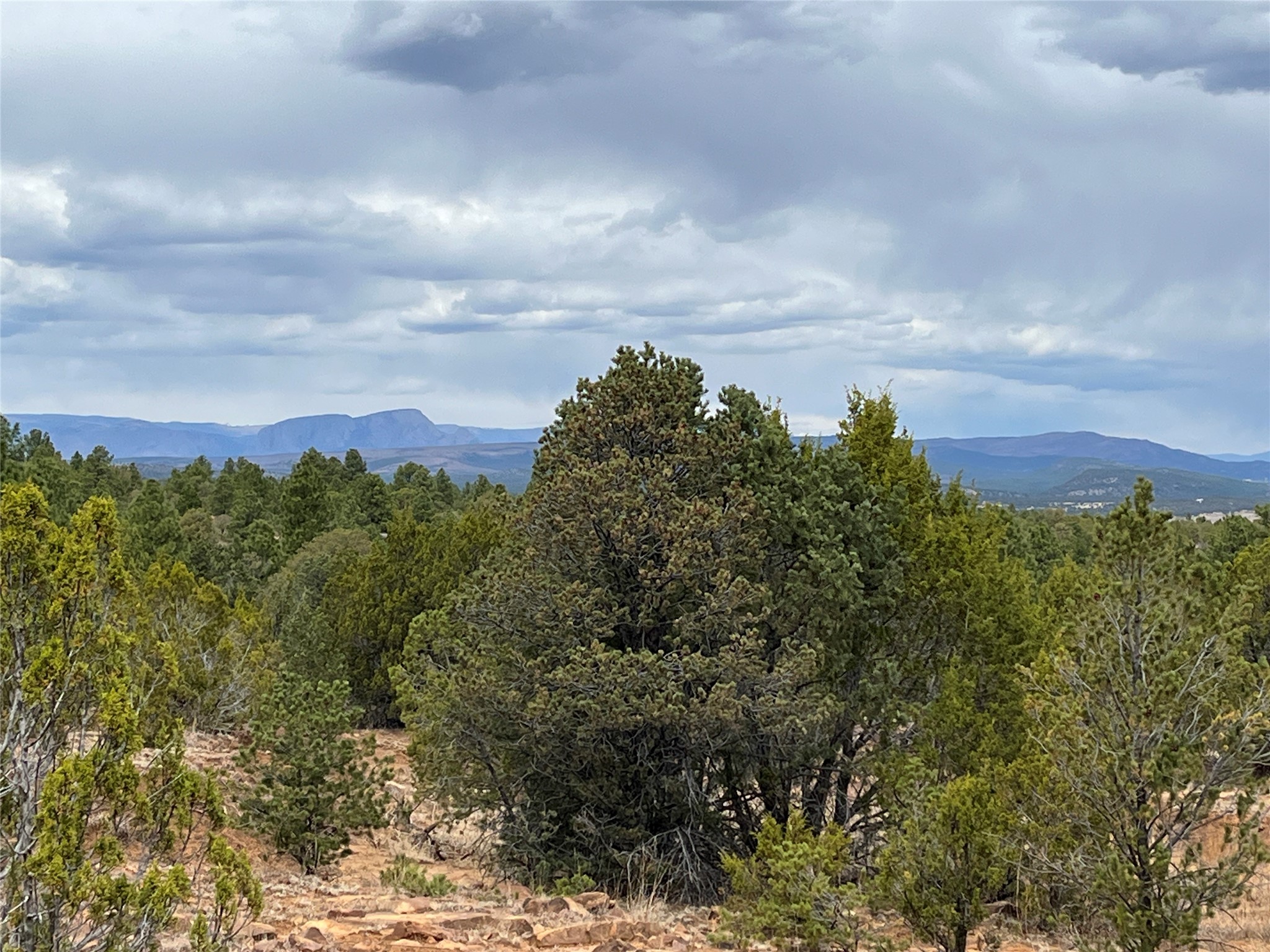 36 Blue Sky Road Las Vegas, NM 87701 - Photo 2 of 48 Stellar views of the eastern slopes of the Sangre de Cristo Mountain range from property.