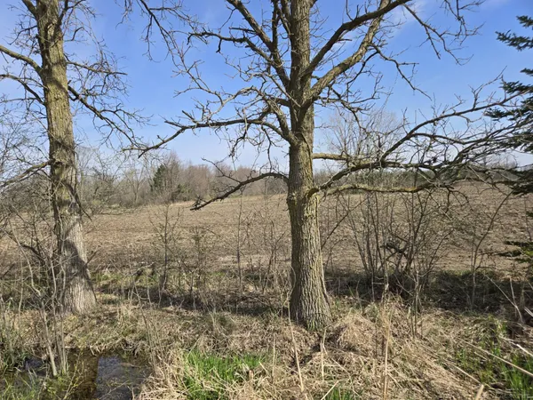 $121,900 | 0 Weber (lot C) Road, Columbus, MI 48063