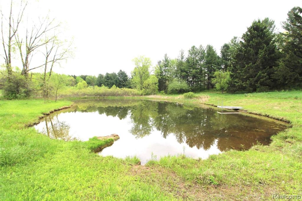 5550 Rochester Road Dryden, MI 48428 - Photo 41 of 51